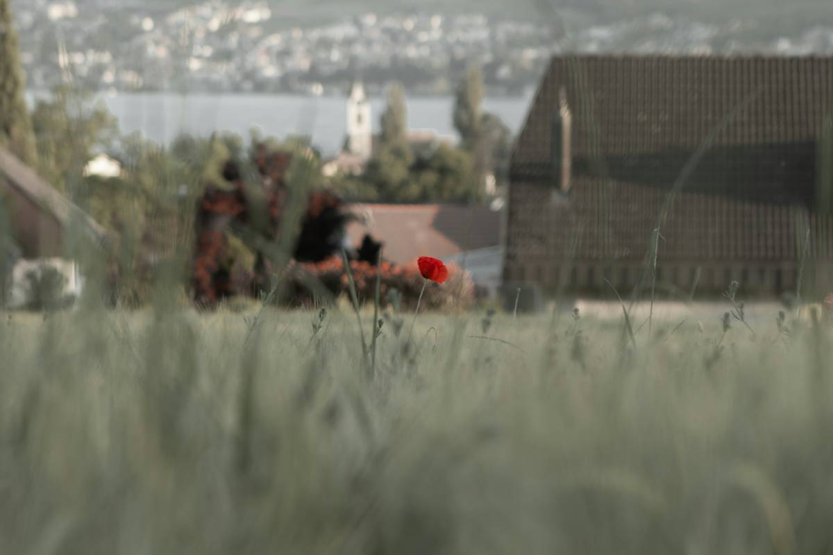 The Crisis Negotiation Process in Kidnap and Ransom Insurance: A Personal Finance Perspective